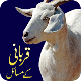 Eid ul Azha in Islam: Qurbani Ka Tariqa icon