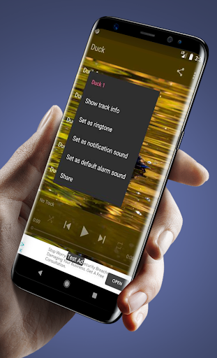 Sounds and Bells of Ducks