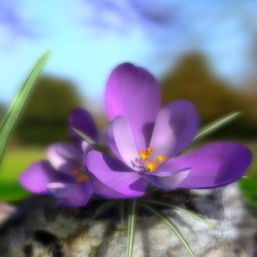 Nature Live Spring Flowers 3D  Icon