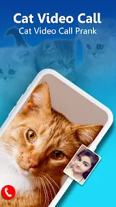 Cat Video Call - Cat Fake Vide