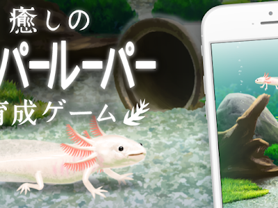 ++ 50 ++ チンアナゴ 飼育ゲーム 127676