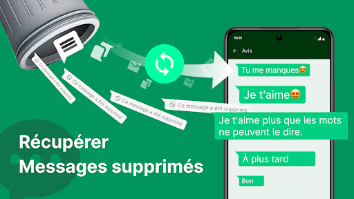 Aperçu de l'application