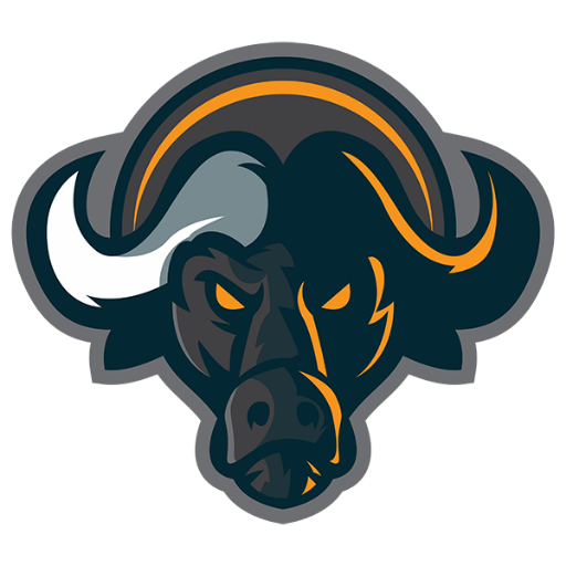Buffalo Network logo