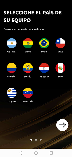 CONMEBOL Libertadores Screen 2