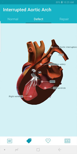 Heartpedia Screenshot 3 - AppWisp.com