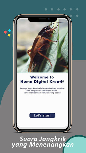 Android application Suara Jangkrik Jernih screenshort