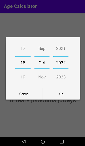 Age Calculator Screen 2