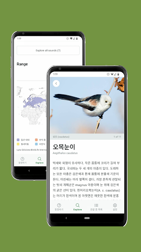 Merlin Bird ID by Cornell Lab screenshot 5