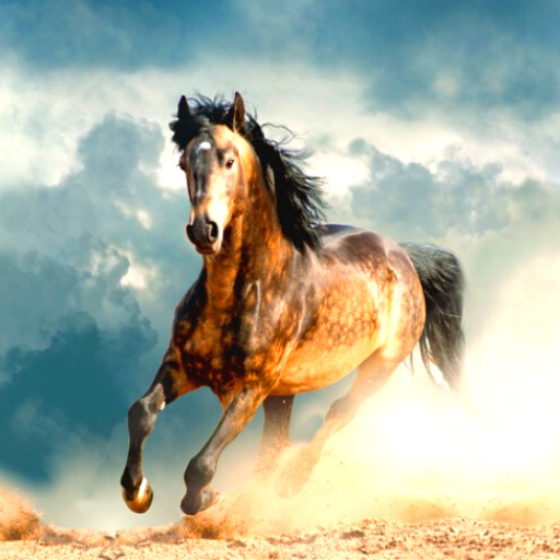 Running Horse Wallpaper logo