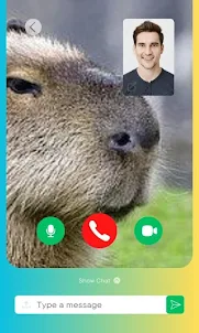 Video Call Chat Capybara