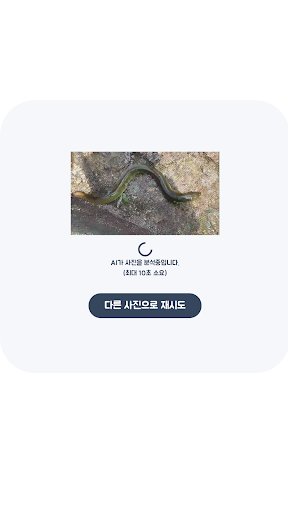 물고기 판별기 Screen 2