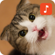 Top 33 Lifestyle Apps Like Cat meow sound effects - Best Alternatives