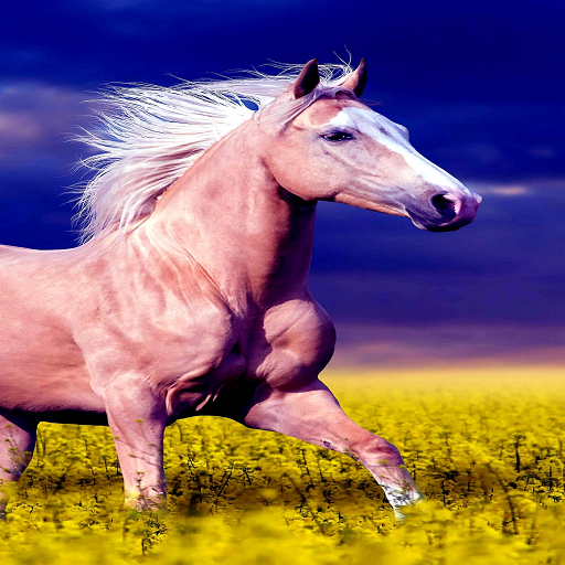 Horse Wallpaper logo