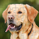Dogs jigsaw puzzles