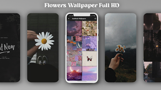 Aesthetic Wallpapers (Full HD)