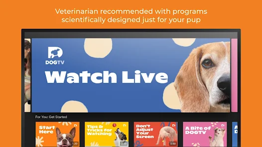 Dogtv hotsell