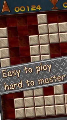 Wooden Block Puzzle Game - Screenshot 1