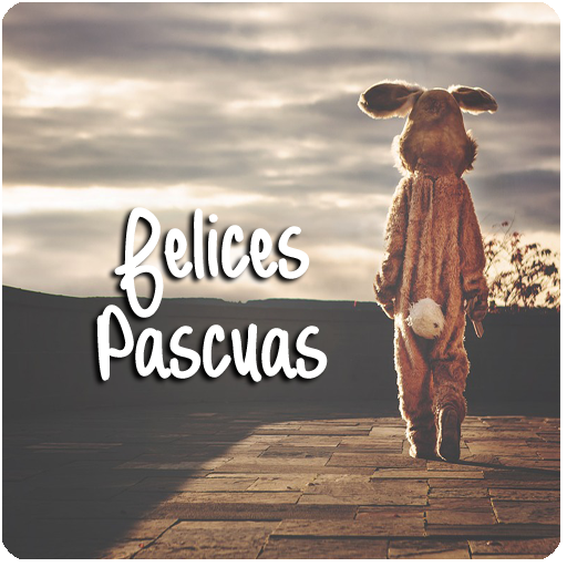 PASCUA SOLEMNE Y BENDICIONES logo
