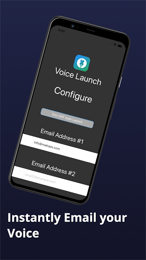 Voice Launch Screen 2