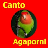 Canto Agaporni icon