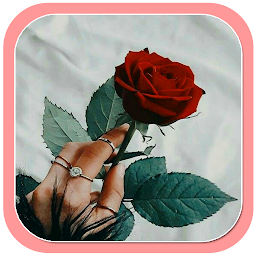 Icon image Red Rose Flowers Wallpaper