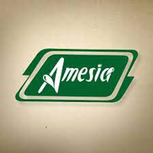 Amesia logo