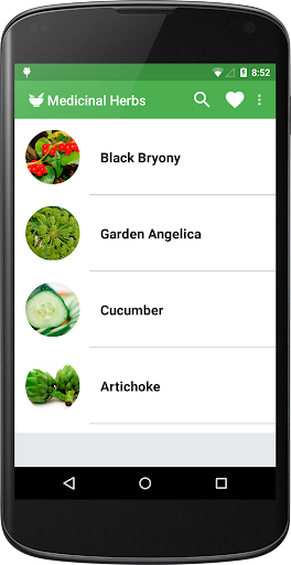 Medicinal Herbs and Health