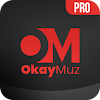 OkayMuz App Advices icon