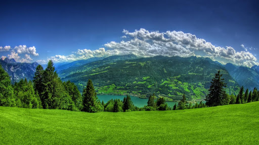 Android application e41w: Test DF_01 screenshort