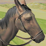 Horse Simulator 2017 icon