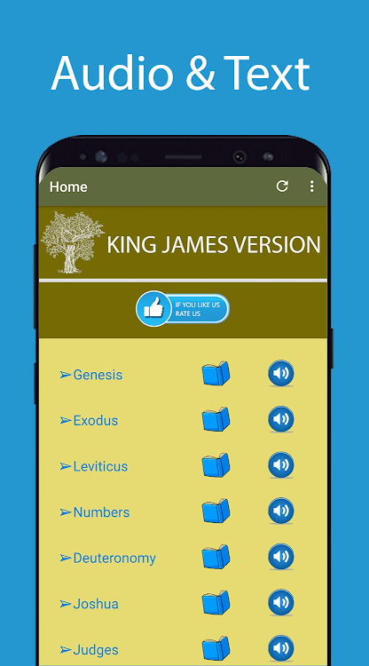 (PRO) King James Audio Bible - 3 - (Android)