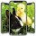 Duck Wallpaper