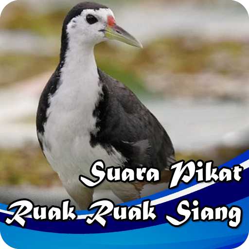 Suara Pikat Ruak Ruak Siang logo