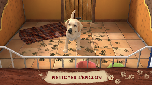 Pet World: Refuge pour animaux Capture d'Écran du Jeu Android 1