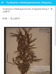 台灣植物標本資料庫