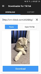 Downloader for TikTok Screenshot