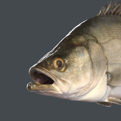 Aquaculture Species logo