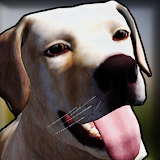 Dog Shelter Simulator 3D icon