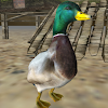 Real Duck Simulator icon