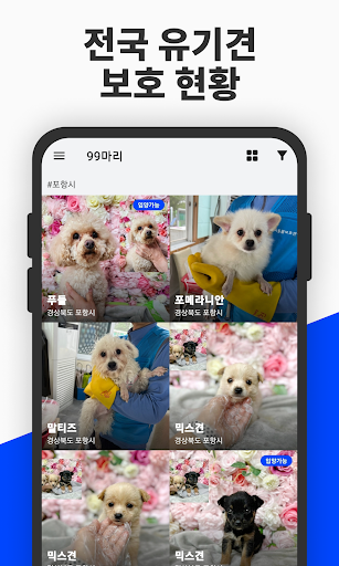 유기견 보호정보 Screen 2