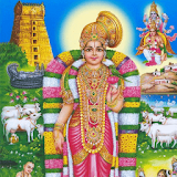 த஠ருப்பாவை / Thiruppavai (Audio/Lyrics/Meaning) icon