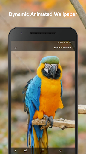 3d Birds Live Wallpaper Screen 2