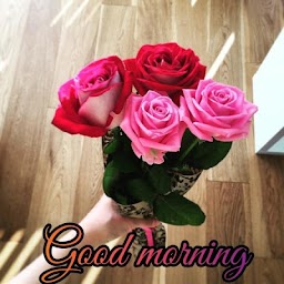 Good Morning Flowers, Roses Images