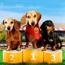 Dachshund Dog Simulator 1.1.5 APK Download