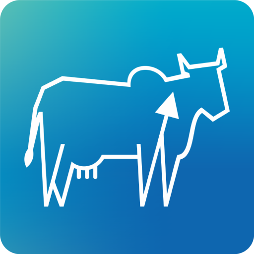 NCDFI eMarket logo