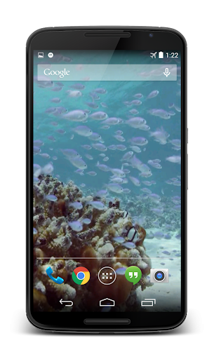 Sea Life Video Live Wallpaper Screen 2