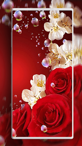 Screenshot of Rose Wallpaper