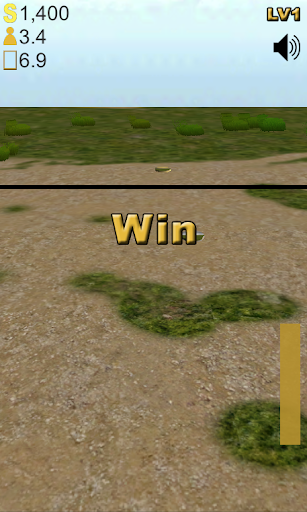 Throw Coin Screen 2