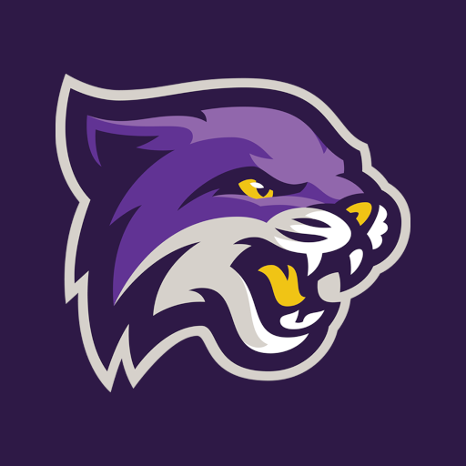 Bethel Wildcats logo