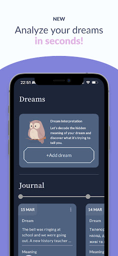 DreamDiscover: Interpretation Screen 2